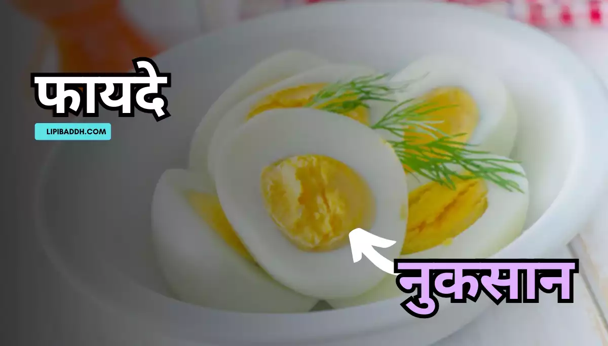 Egg Khane Ke Fayde